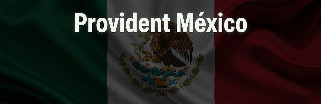 Provident México